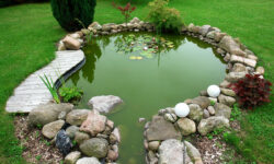 Etiam dictum egestas