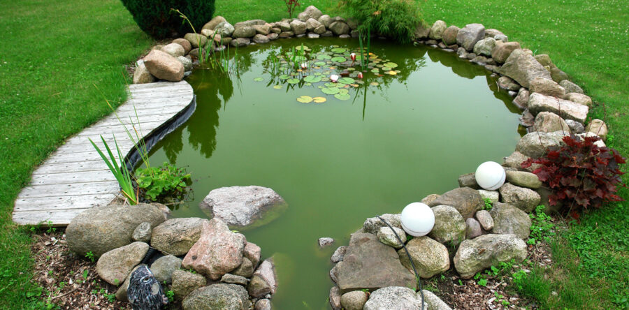 Etiam dictum egestas