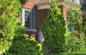 Sed blandit massa vel