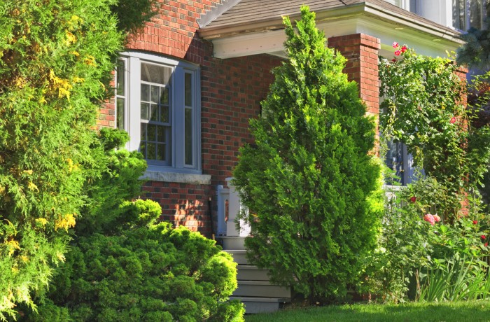 Sed blandit massa vel