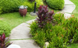 Garden Path