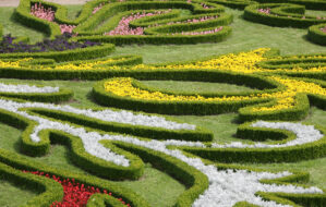 Vestibulum sed ante.