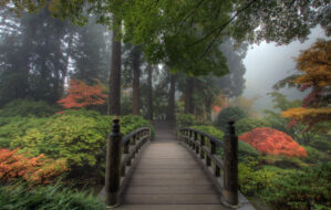 Ejdat Parkı Çekimleri