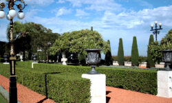 Etiam commodo convallis