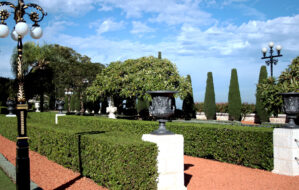 Etiam commodo convallis